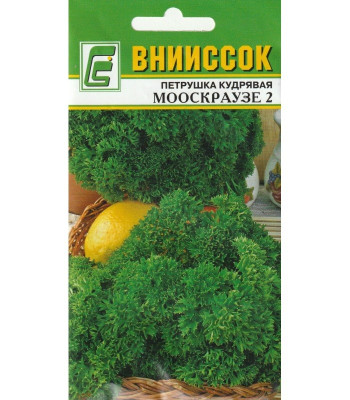 Петрушка Мооскраузе 2 кудрявая