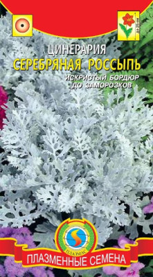 Цинерария Серебряная россыпь 100шт +