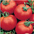 Томат Волгоградский (25шт)