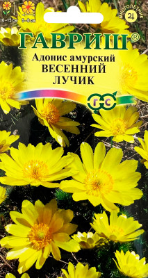 Горицвет (Адонис) амурский Весенний лучик 0,05г