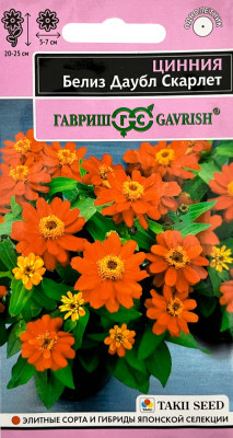 Цинния Белиз даубл скарлет 5шт серия Эксклюзив