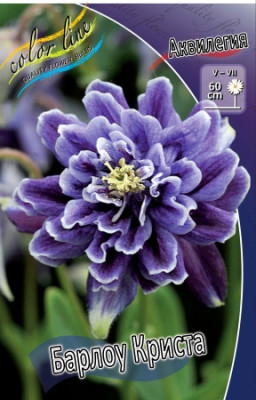 Аквилегия Барлоу Криста (2шт) 4303