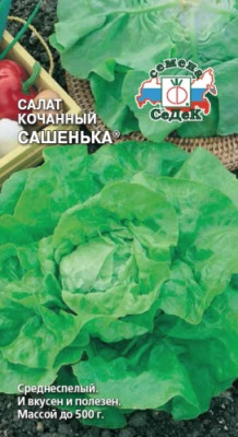 салат Сашенька (кочан)