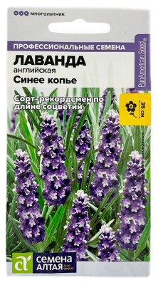 Лаванда английская СИНЕЕ КОПЬЕ СЕМЕНА АЛТАЯ