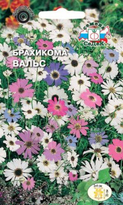 Брахикома Вальс иберисолистная (смесь)