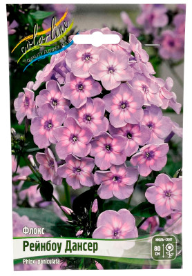 Флокс Рейнбоу Дансер