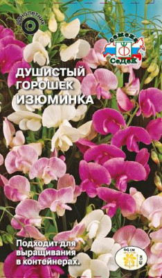 Душистый Горошек Изюминка