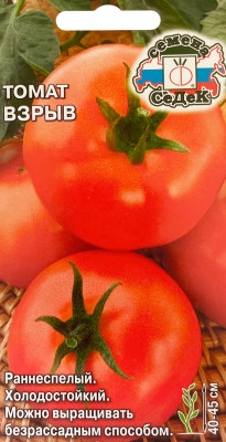 Томат Взрыв