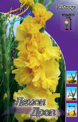 Гладиолус Лемон Дроп (1шт) 3034