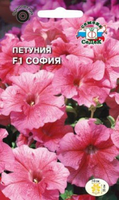 Петуния София F1 многоцветковая