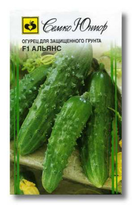 Огурец Альянс F1