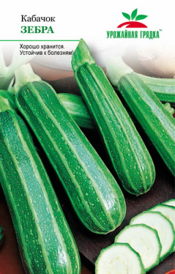 Кабачок Зебра УГ