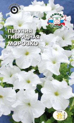 Петуния Морозко F1 (низкорослая,крупноцветковая,белая)