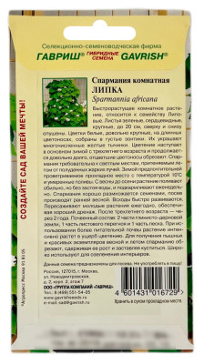 Спармания комнатная ЛИПКА ГАВРИШ описание