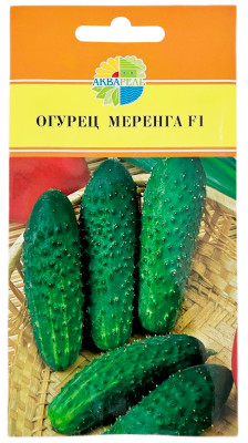 Огурец Меренга F1 АКВАРЕЛЬ