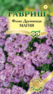 Флокс Магия друммонди * 8 шт. сер. Элитная клумба