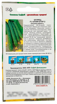 Огурец F1 АЛЛИГАТОР 3 СеДеК описание