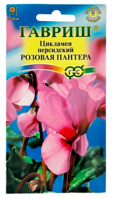 Цикламен персидский Розовая пантера ГАВРИШ