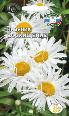 Нивяник Восхищение (хризантемовидный, леукантемум) 0,1г