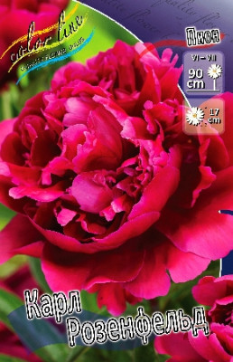 Пион Карл Розенфельд (1шт) 1733