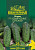 Огурец Изумрудные сережки F1, серия Юбилейный 25 шт. (большой пакет)