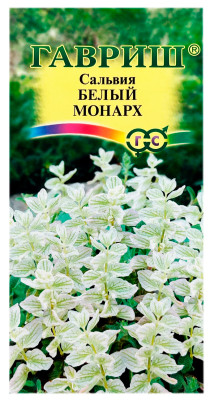 Сальвия БЕЛЫЙ МОНАРХ ГАВРИШ