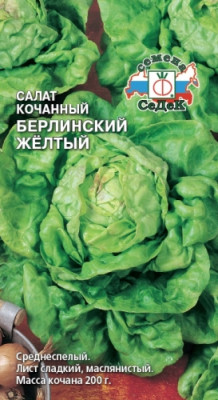 салат Берлинский Желтый (кочан)