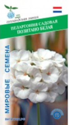 Пеларгония Герань Позитано белая 5шт