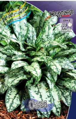 Медуница Опал (1шт)