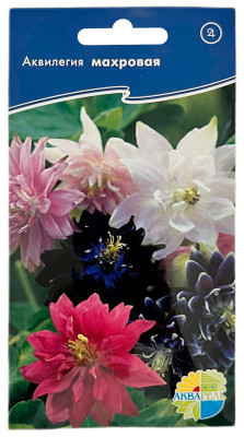 Аквилегия МАХРОВАЯ АКВАРЕЛЬ