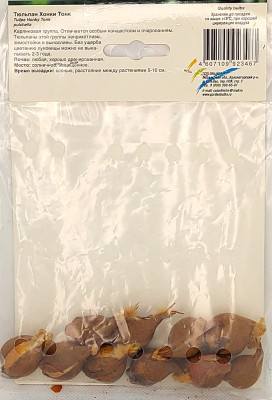 Тюльпан Хонки Тонк (10шт)