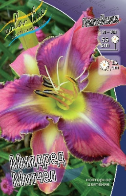 Лилейник Милдред Митчел (1шт)