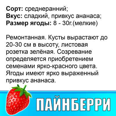 Земляника (Клубника) Пайнберри в стаканчике