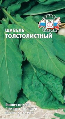 Щавель Толстолистный