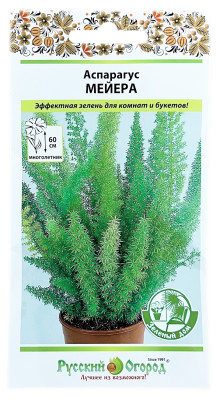 Аспарагус МЕЙЕРА Русский Огород