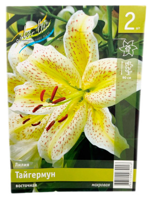 Лилия Тайгермун восточная, махровая