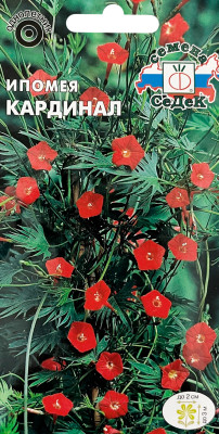 Ипомея Кардинал (куамоклит, красная) (Евро, 0,5; 11623)