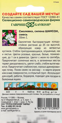 Смолевка силена Шансон смесь ГАВРИШ описание