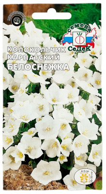 Колокольчик карпатский БЕЛОСНЕЖКА СеДеК