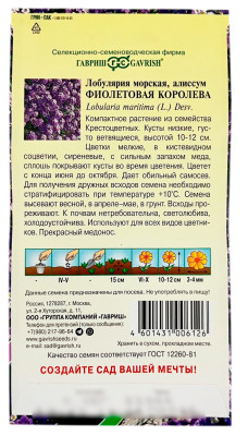 Лобулярия морская Фиолетовая королева ГАВРИШ описание