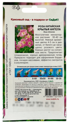 Роза китайская КРЫЛЬЯ АНГЕЛА СеДеК описание