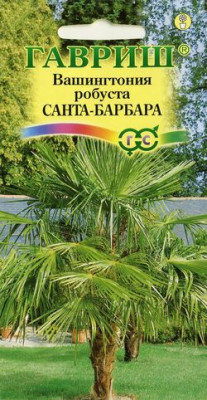 Вашингтония мощная Санта-Барбара 3 шт. Вашингтония мощная Санта-Барбара 3 шт.