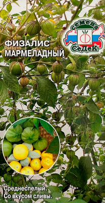 Физалис Мармеладный СеДеК