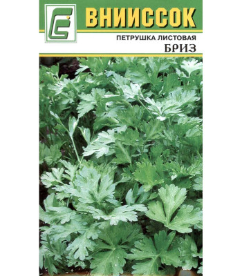Петрушка листовая Бриз