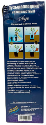 Пузыреплодник Андре