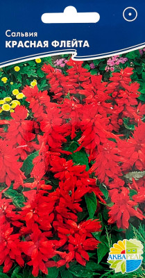 Сальвия Красная флейта (скарлет пиколо)