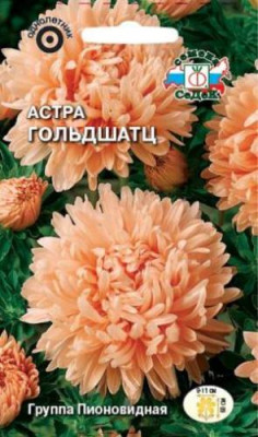 Астра Опалфойер (пионовидная, темно-красная) / Шиншила (художественная,лососево-розовая)