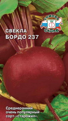 свекла Бордо 237 столовая