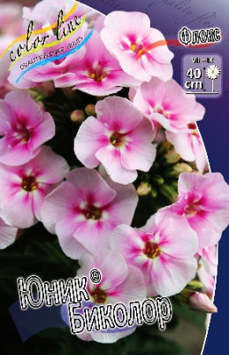 Флокс Юник Биколор (2шт)