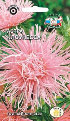 Астра Клоунесса